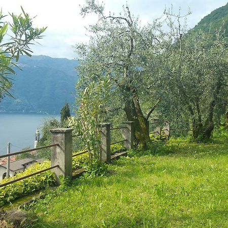 Gli Ulivi Di Nesso Villa Ngoại thất bức ảnh