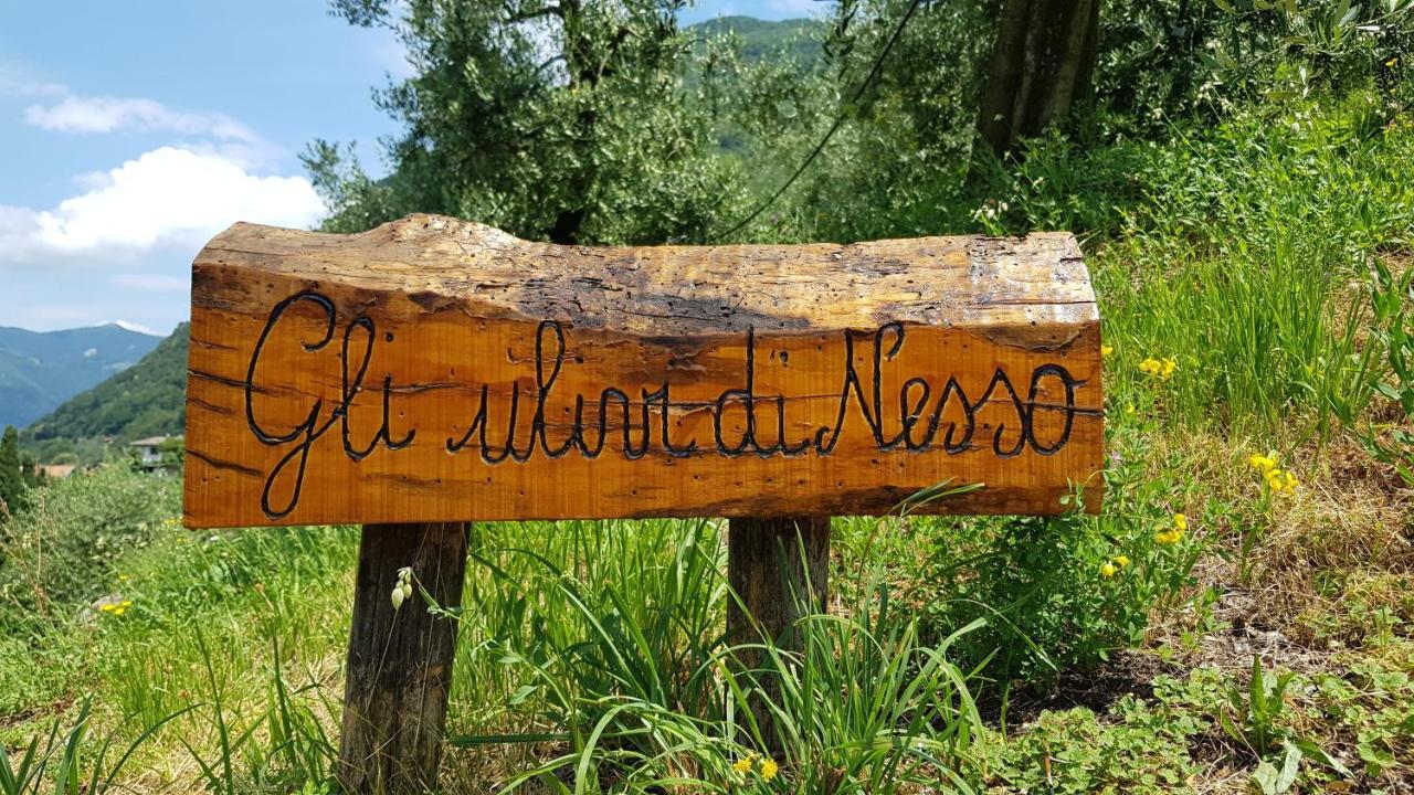 Gli Ulivi Di Nesso Villa Ngoại thất bức ảnh