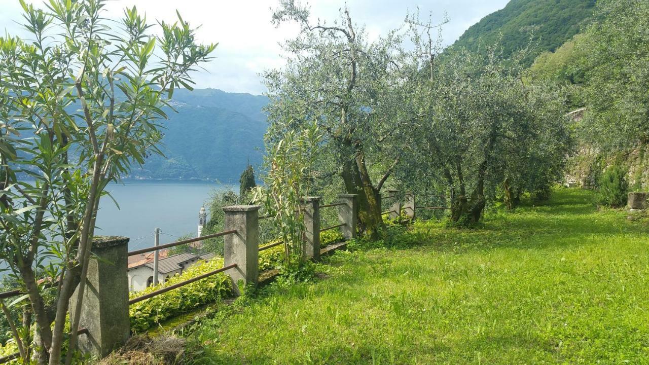 Gli Ulivi Di Nesso Villa Ngoại thất bức ảnh