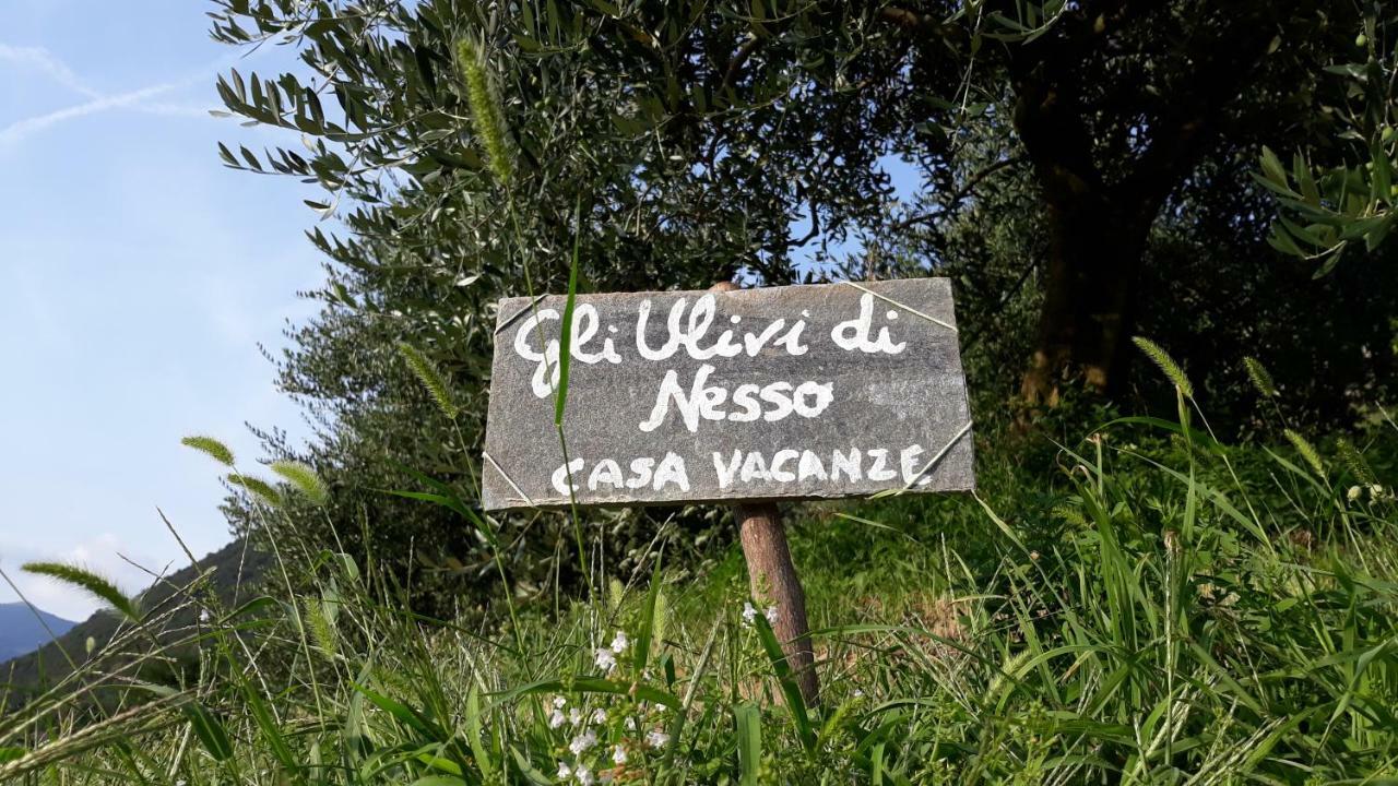 Gli Ulivi Di Nesso Villa Ngoại thất bức ảnh